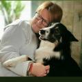 Eine Person kuschelt mit einem großen, schwarz-weißen Hund in einem gemütlichen Zimmer.
