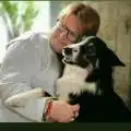 Eine Person kuschelt mit einem großen, schwarz-weißen Hund in einem gemütlichen Zimmer.
