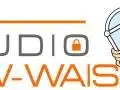 Grafisches Logo mit integriertem Vorhängeschloss-Symbol und stilisiertem, lächelndem Gesicht, passend zu Sicherheits- und Filmthemen.