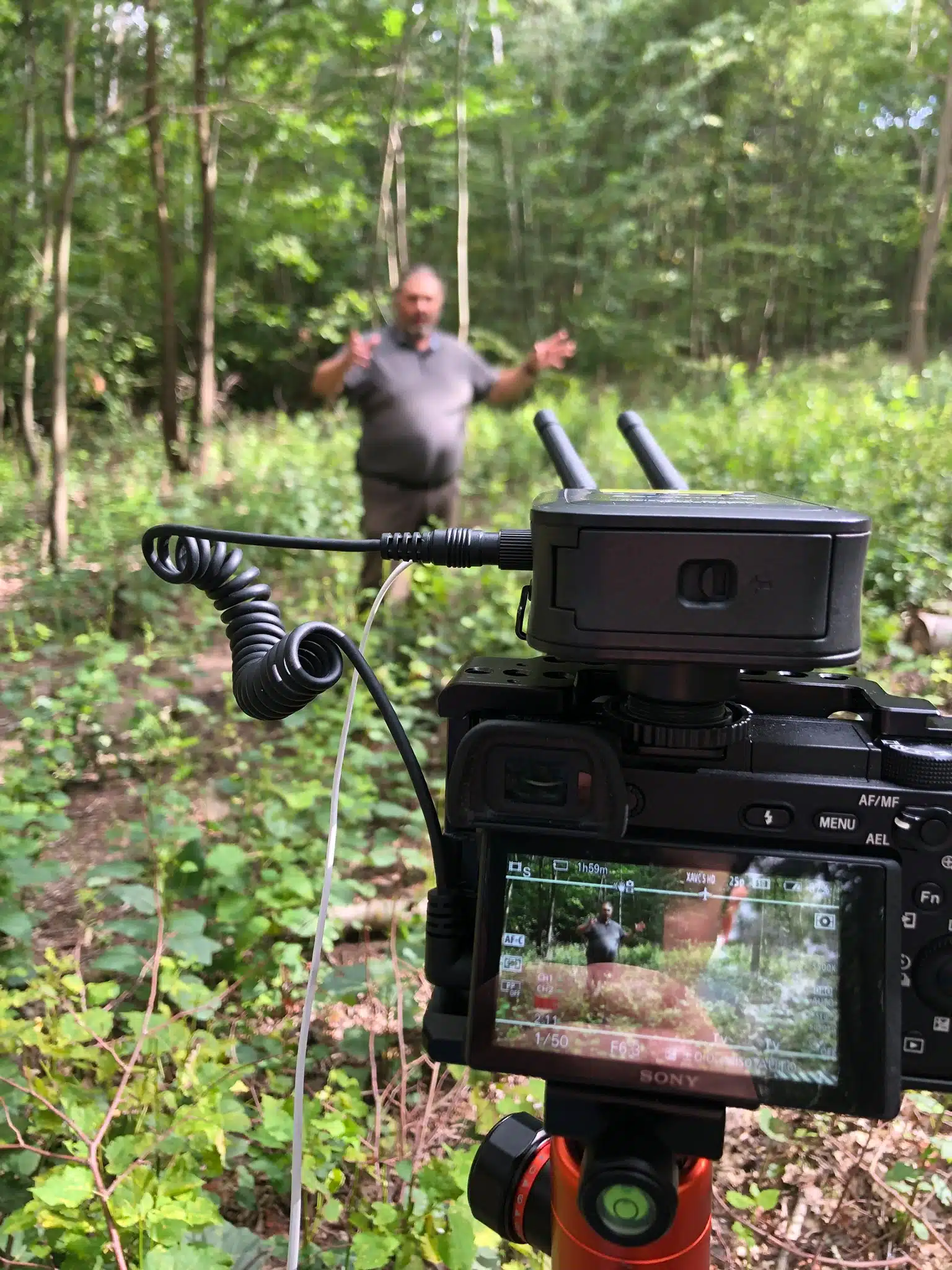 Kamera filmt Person im Wald für Urban Films Imagevideo in natürlicher Umgebung.